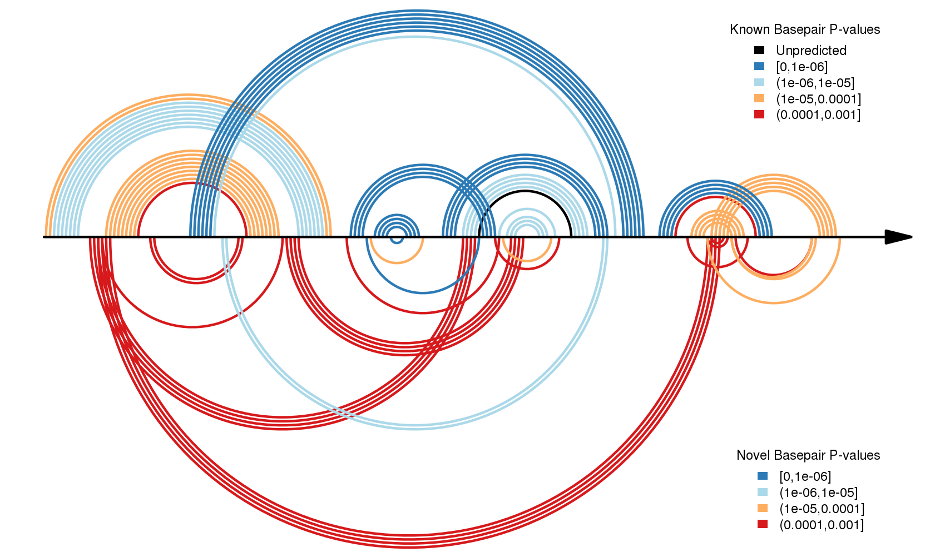 Overlapping structure arc diagram