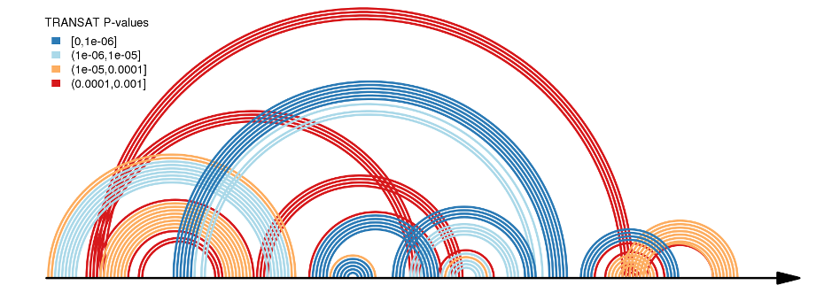 Single structure arc diagram